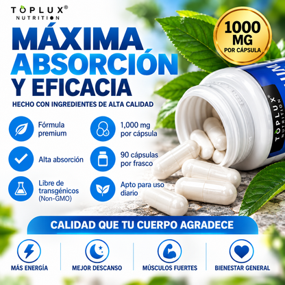 MAGNESIUM COMPLEX│Suplemento 90 cp