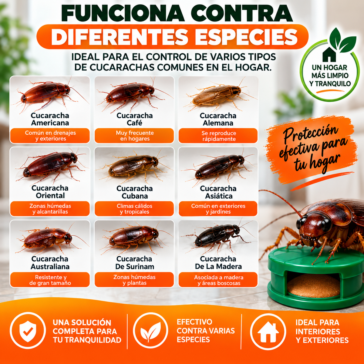 ROACHSTOP™ │ Cebo Anticucarachas