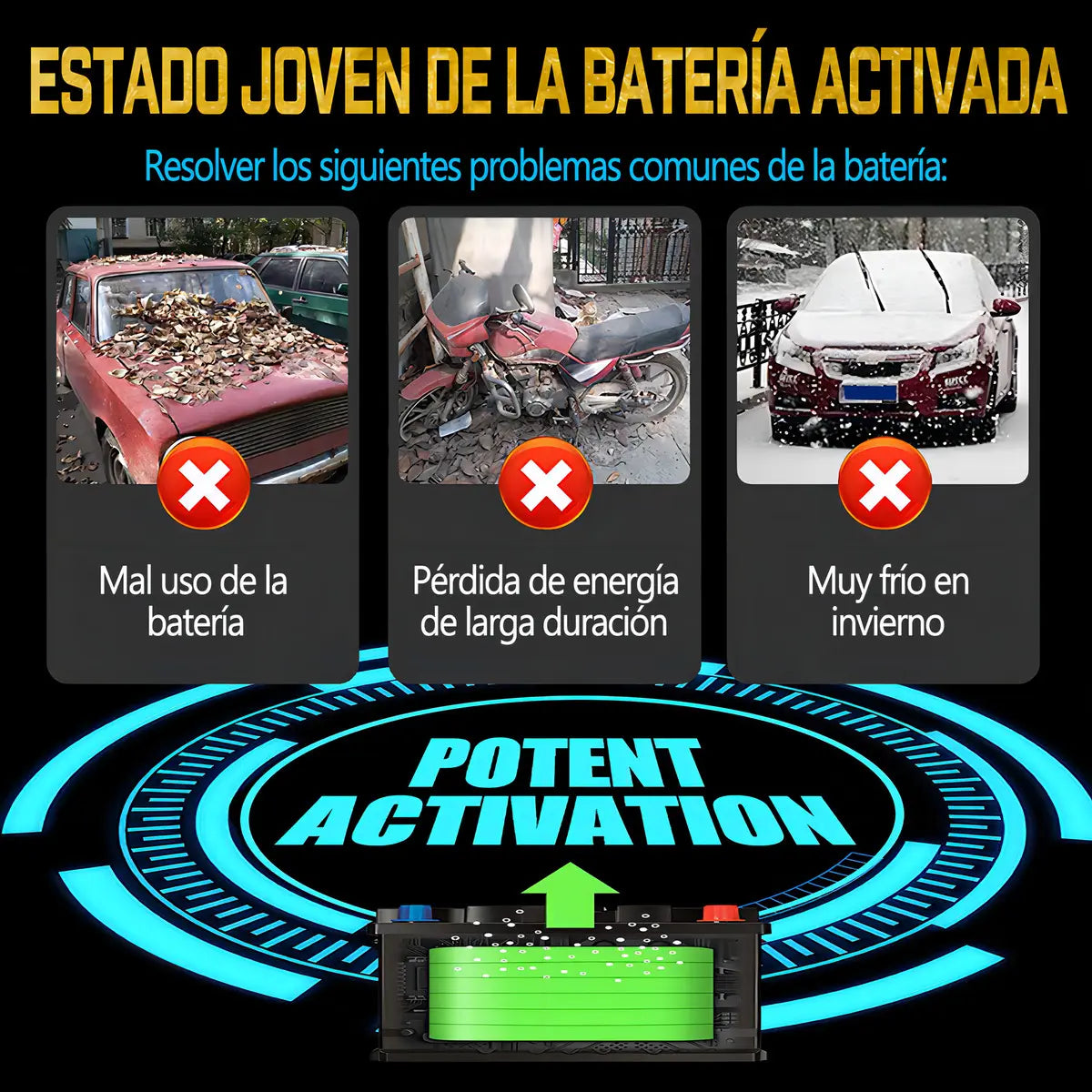 PULSECELL 12V│Cargador de Batería